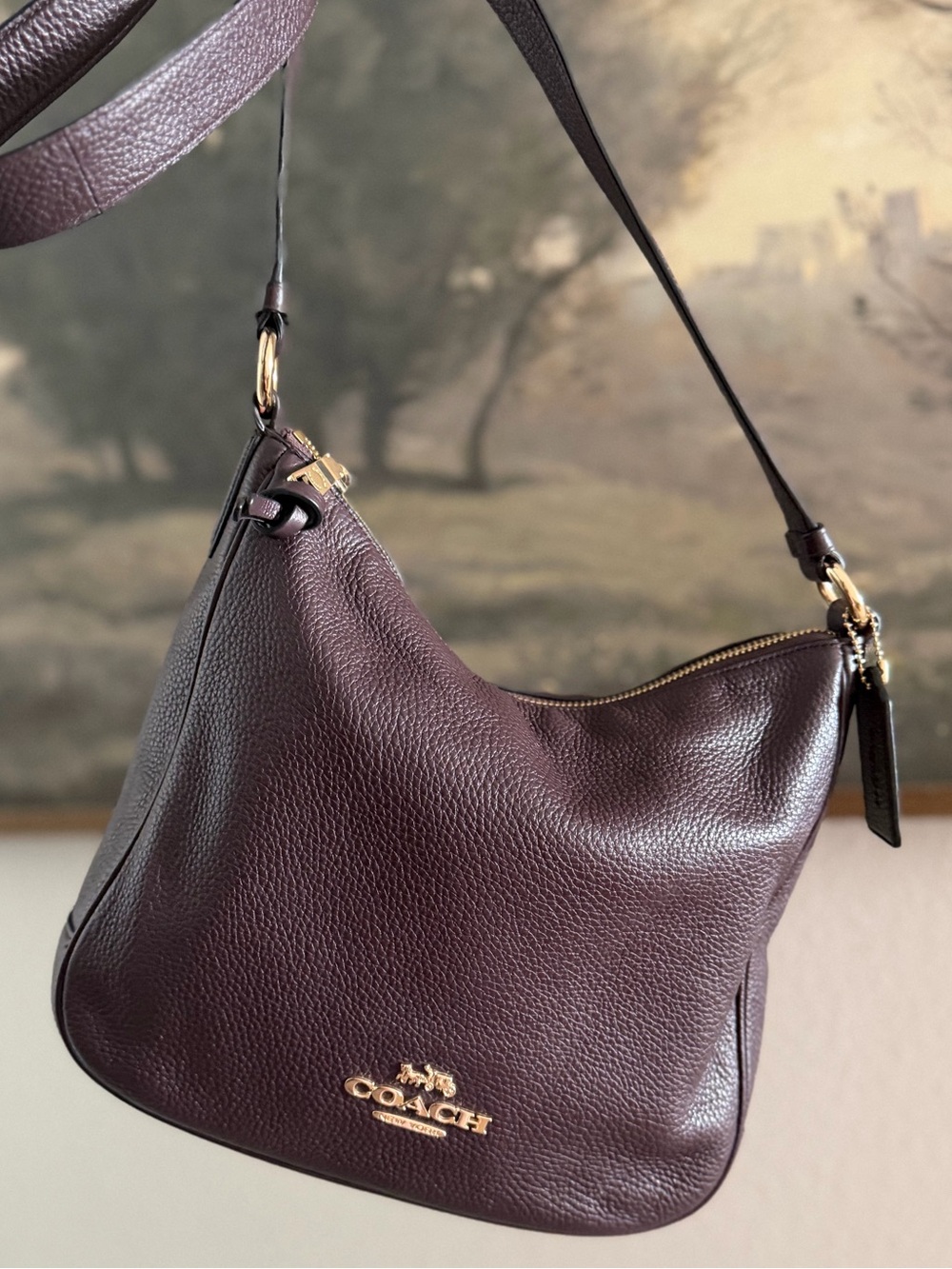 Coach Brown Pebble Leather Hobo Bag